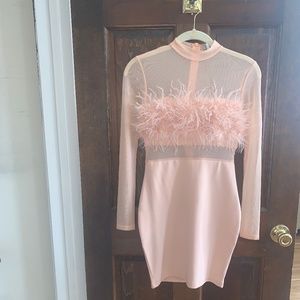 Fashion Nova pink dress with feathers
